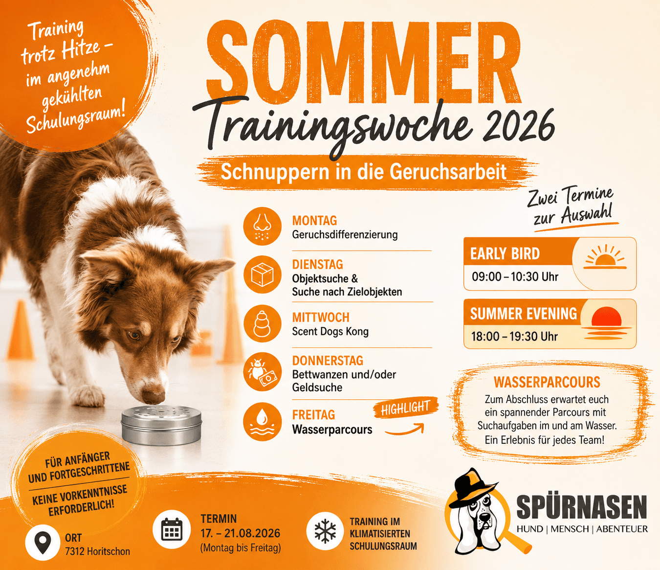 Sommer-Trainingswoche 2026 – Schnuppern in die Geruchsarbeit Early Bird
