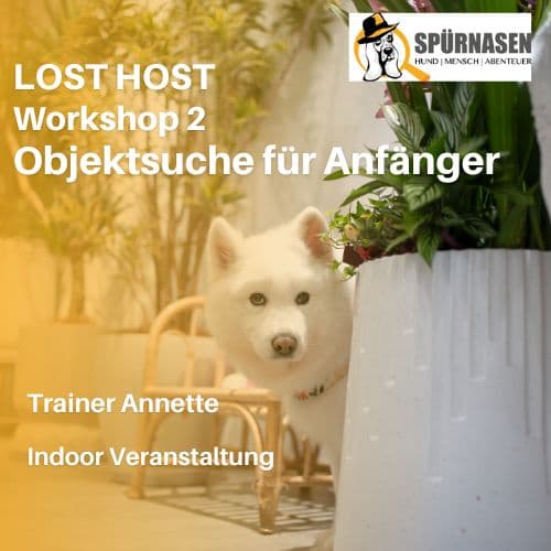 LOST-HOST Workshop 2 | Objektsuche 1