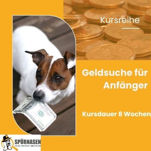 Nasenschule – Geldsuche vom Anfänger bis zum Profi | Einsteiger Kurs 4 Einheiten