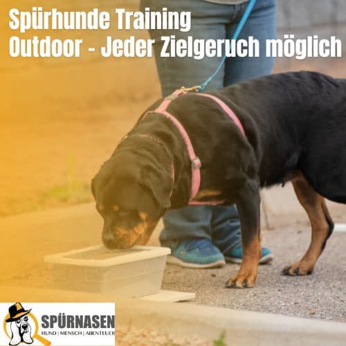 Scentdogs Einzeleinheit