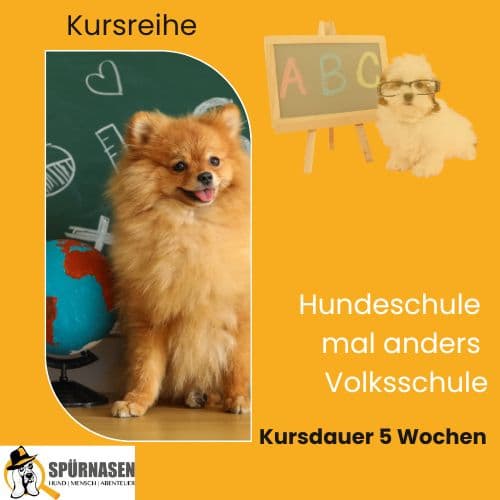 Kursreihe – Hundeschule mal anders - Volksschule 