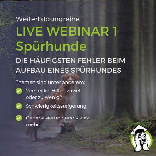 Spürhunde Webinar 1 - Aufbaufehler Spürhund