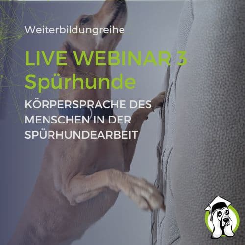 Spürhunde Webinar 3 - Körpersprache Mensch in der Spürhunde Arbeit