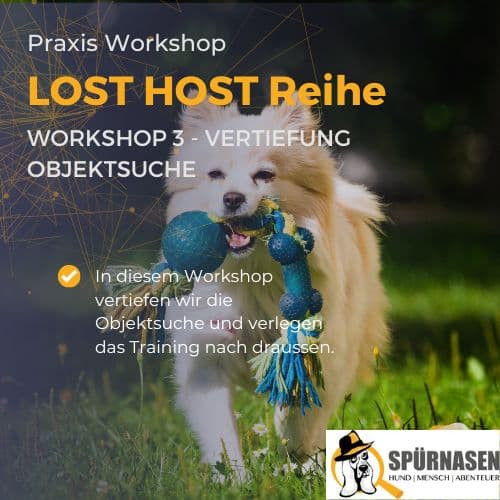LOST-HOST Workshop 3 | Objektsuche 2