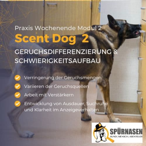 Scent Dog Ausbildung – Modul 2