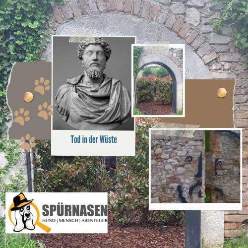 Tot in der Wüste | 2452 Mannersdorf am Leithagebirge