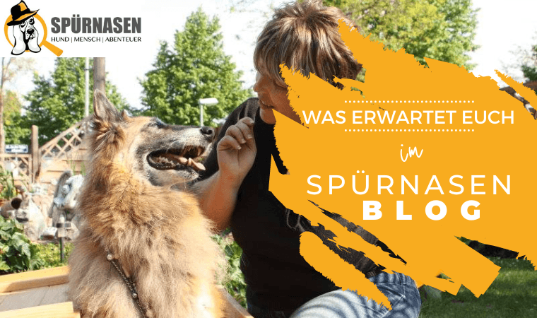 Blog1_Vorstellung.png