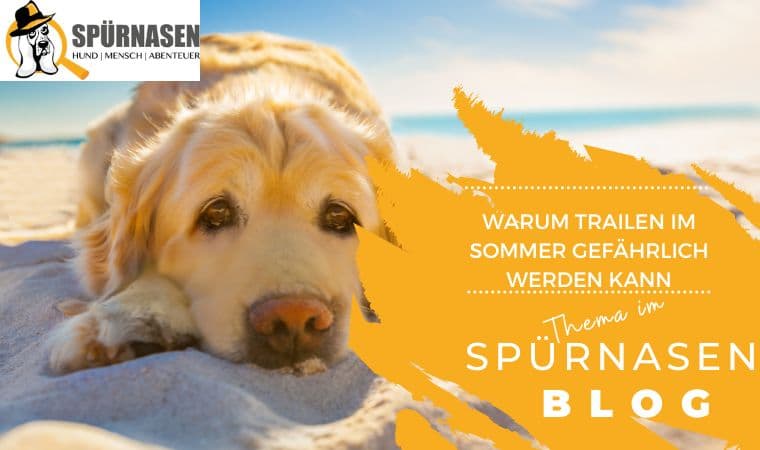 Blog_Freizeit-11.jpg