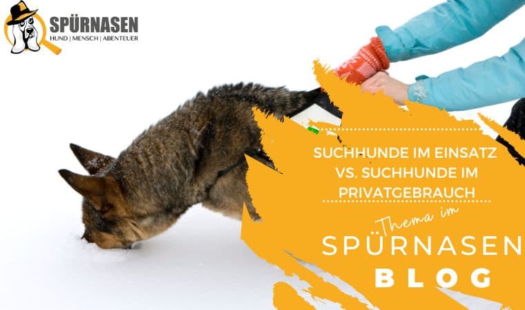 Blog_Freizeit-12.jpg