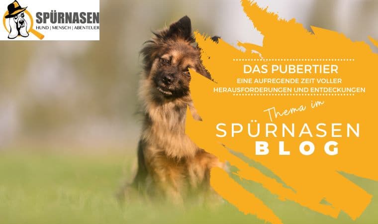 Blog_Freizeit.jpg