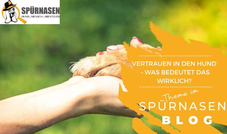 Blog_Freizeit-14.jpg