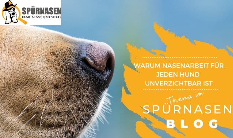 Blog_Freizeit-15.jpg