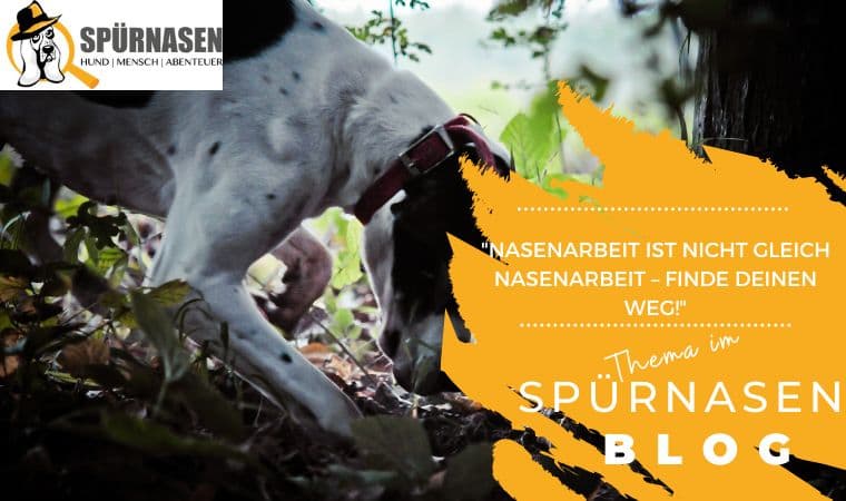 Blog_Freizeit-16.jpg