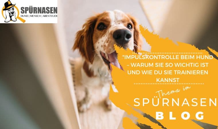 Blog_Freizeit.jpg