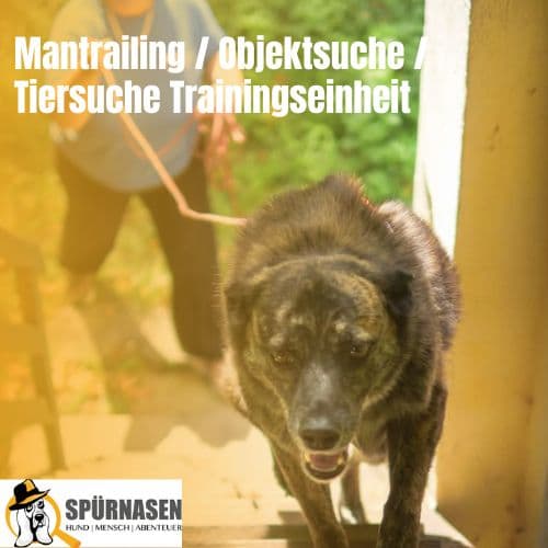 Mantrailing/Objektsuche/Tiersuche Einzeleinheit