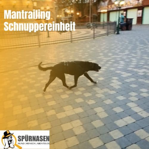 Mantrailing Schnuppereinheit