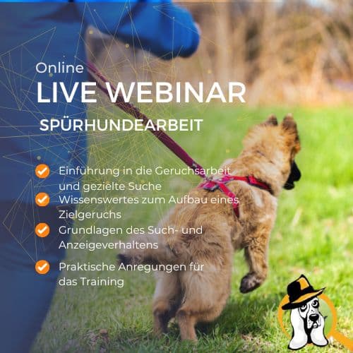 Auf den richtigen Riecher kommt es an – Spürhunde Webinar 1