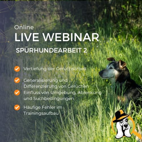 Auf den richtigen Riecher kommt es an - Spürhunde Webinar 2