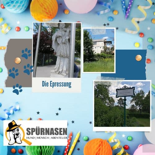 Die Erpressung | 2320 Schwechat