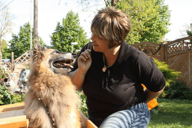 Hundetraining mit Herz und Verstand