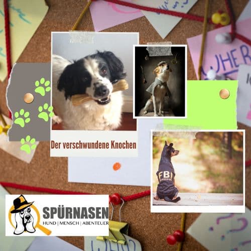 Krimitour to go „Der verschwundene Knochen“ 🐾🦴 | Ortsunabhängig
