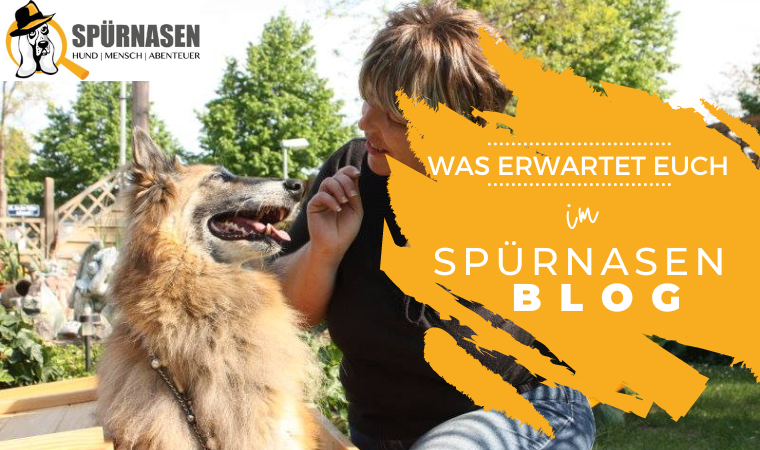 Blog Spürnasen Vorstellung
