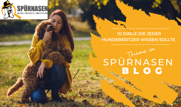 10 Dinge, die jeder Hundebesitzer wissen sollte
