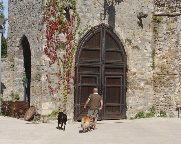Der Mann mit zwei Hunden vor der Tür eines Schlosses