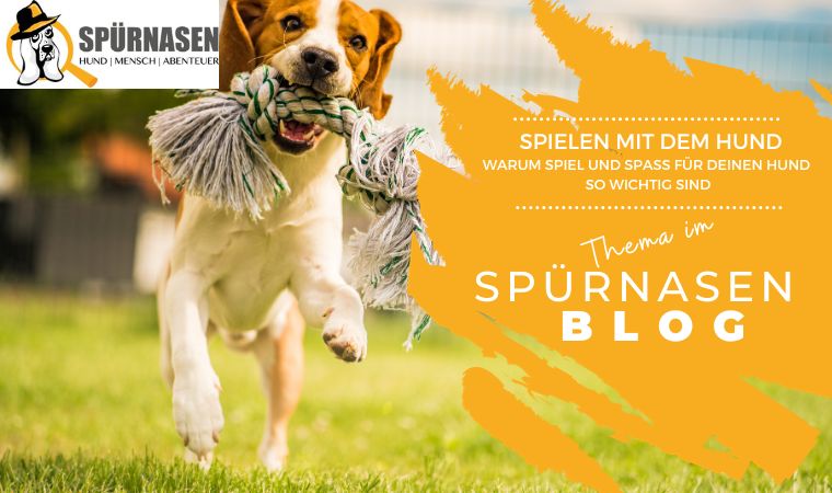 Warum Spiel und Spaß für deinen Hund so wichtig sind