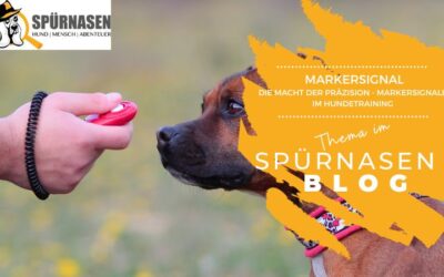 Die Macht der Präzision: Markersignale im Hundetraining