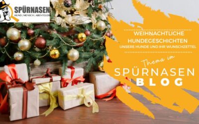 Weihnachtliche Hundegeschichten – Unsere Hunde und ihr Wunschzettel