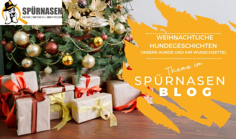 Weihnachtliche Hundegeschichten – Unsere Hunde und ihr Wunschzettel