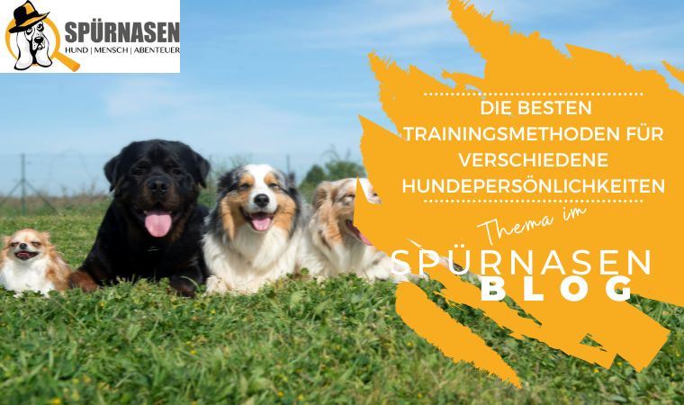 Die besten Trainingsmethoden für verschiedene Hundepersönlichkeiten
