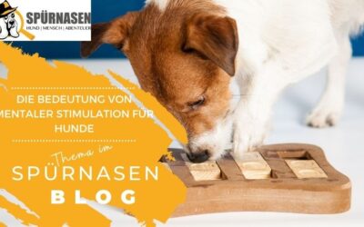 Die Bedeutung von Mentaler Stimulation für Hunde