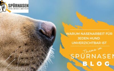 Warum Nasenarbeit für jeden Hund unverzichtbar ist