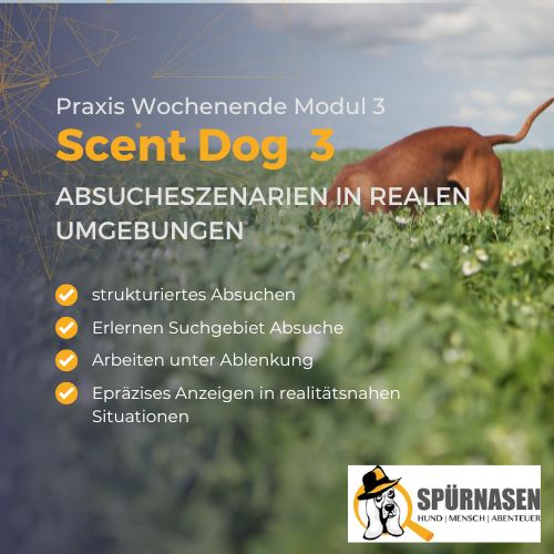 Workshop_Produktbild (3)