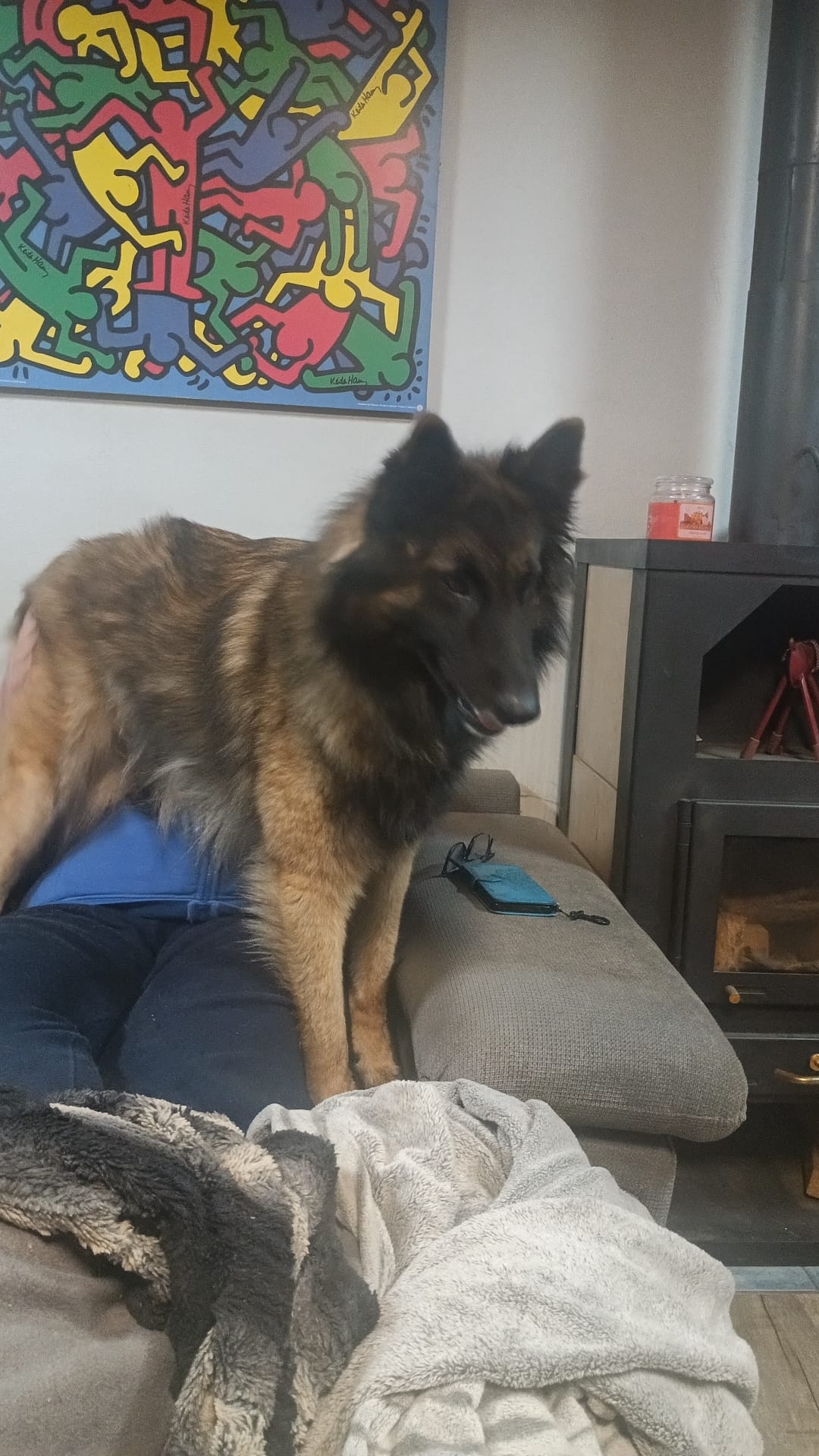 WhatsApp Image 2026-01-11 at 13.33.57 (2)