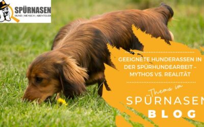 Geeignete Hunderassen in der Spürhundearbeit – Mythos vs. Realität
